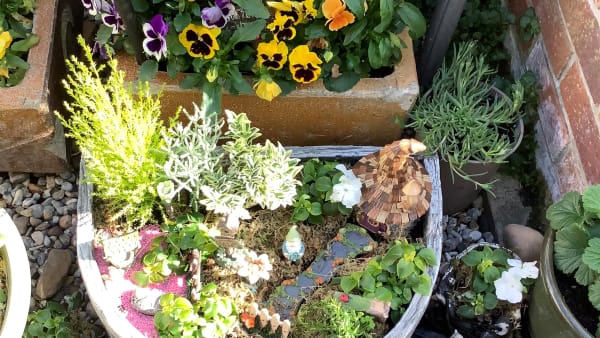 A Carer Wellbeing Grant has brought me happiness through my Fairy Garden